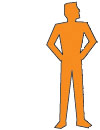 LIFESIZE - immer im Massstab 1:1